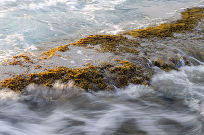 High angle view of water flowing through rocks