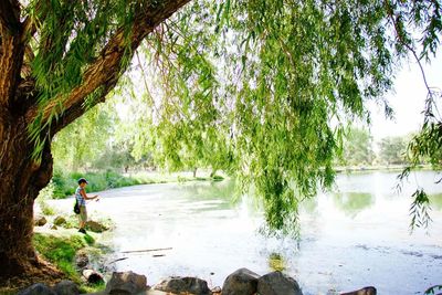 River in forest