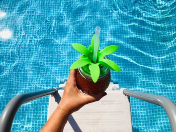 Cropped hand of woman holding drink over swimming pool