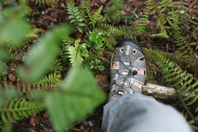 Low section of man on field in forest