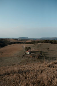 Scenic view of agricultural field against clear sky