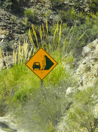 Close-up of yellow warning sign