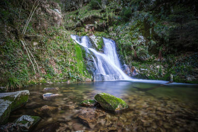 Scenic view of waterfall in forest