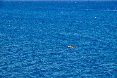 High angle view of swimming in sea