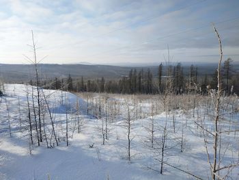 Scenic view of snow covered field against sky