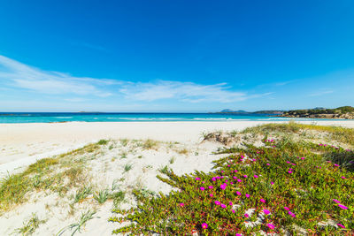 Scenic view of sea against blue sky