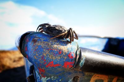 Close-up of rusty metal