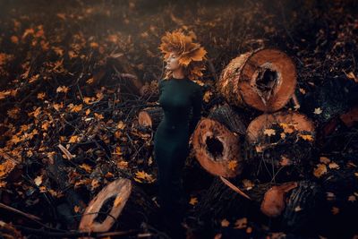 Young woman wearing autumn leaves while standing amidst logs in forest