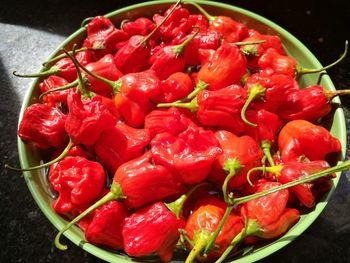 Close-up of red chili peppers