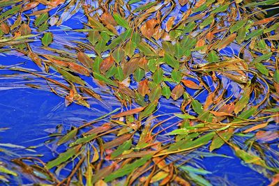 Close-up of multi colored water against sky