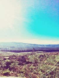 Scenic view of landscape against sky