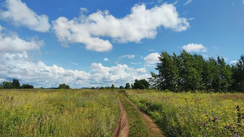 A country road among a green field on a sunny day against a blue sky with clouds