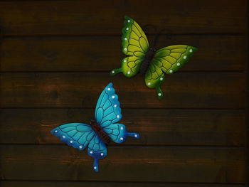 Close-up of artificial butterflies on floorboard