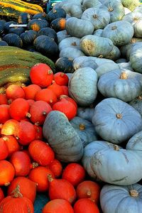 High angle view of pumpkins for sale at market stall