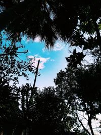 Low angle view of silhouette trees against sky