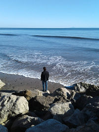 Rear view of man standing on beach against clear sky