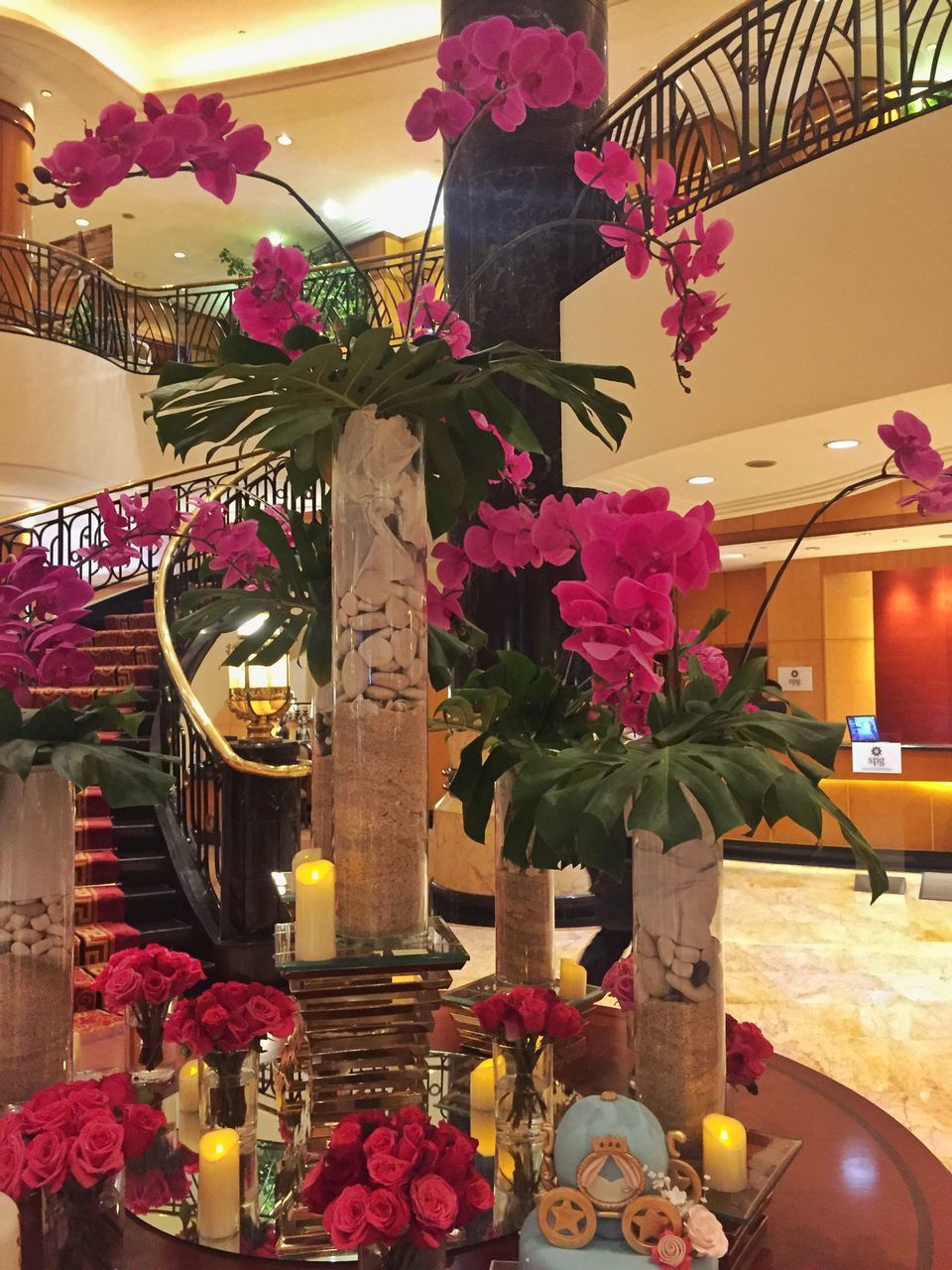 VIEW OF POTTED PLANTS AT ENTRANCE