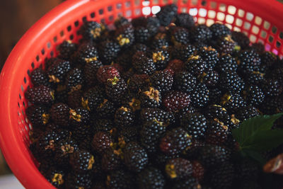 Close-up. black berries in a basket.