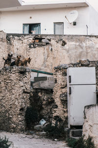 Damaged wall of old building