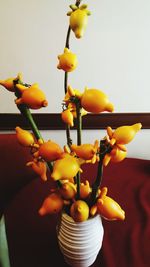 Close-up of flowers