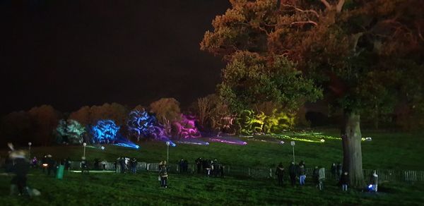 People on field against trees at night