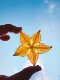 Close-up of hand holding flower