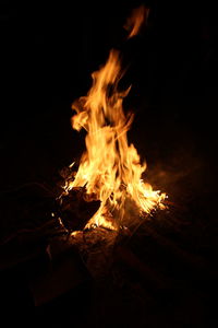 Close-up of bonfire at night