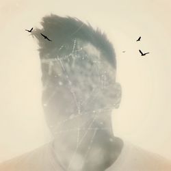 Low angle view of birds flying in sky