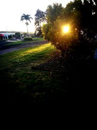 View of street at sunset