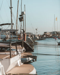 Sailboats moored at harbor