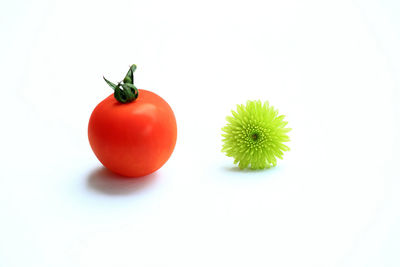 Close-up of tomatoes against white background