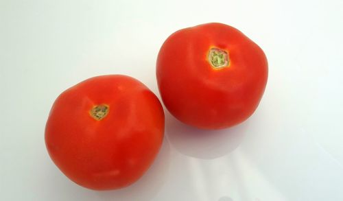 High angle view of tomatoes on white background