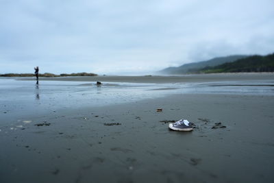 Scenic view of beach against sky