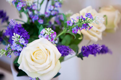 Close-up of white roses