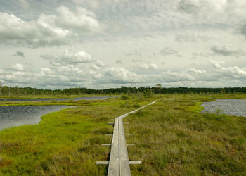 wetland