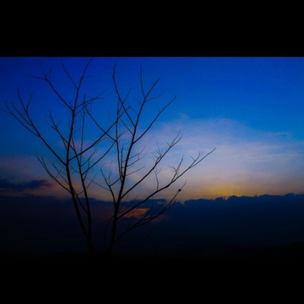 silhouette, tranquility, tranquil scene, bare tree, scenics, beauty in nature, branch, sky, nature, blue, sunset, clear sky, tree, dusk, landscape, transfer print, idyllic, non urban scene, auto post production filter, dark