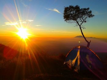 Sun shining over landscape