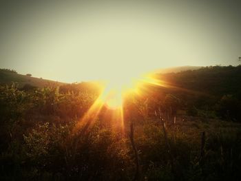 Scenic view of grassy field against sky at sunset