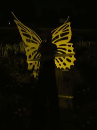 Close-up of yellow holding umbrella at night