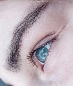 Extreme close-up of woman eye