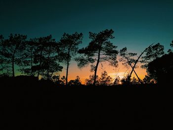 Silhouette trees on field against sky at sunset