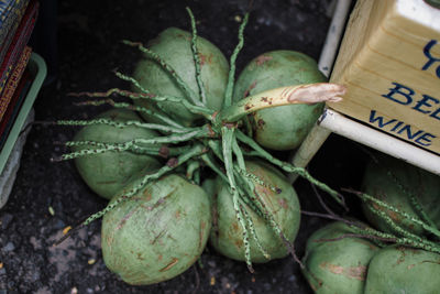 High angle view of vegetables for sale in market