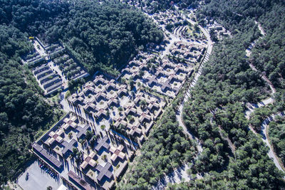 High angle view of trees and buildings in city