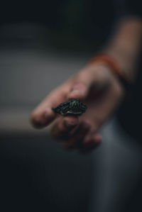 Close-up of man holding hands