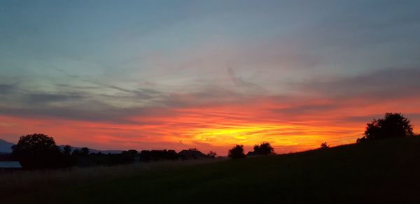 Silhouette trees on field against sky during sunset