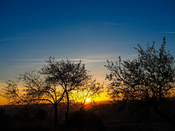 Silhouette trees on landscape against sky at sunset