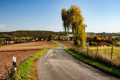 Road amidst trees on field against sky