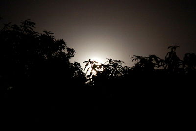 Low angle view of silhouette trees against sky