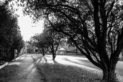 Road amidst trees against sky