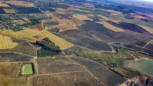 High angle view of agricultural field